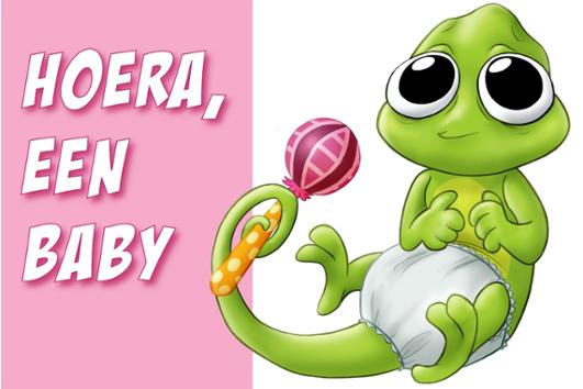 baby roze
