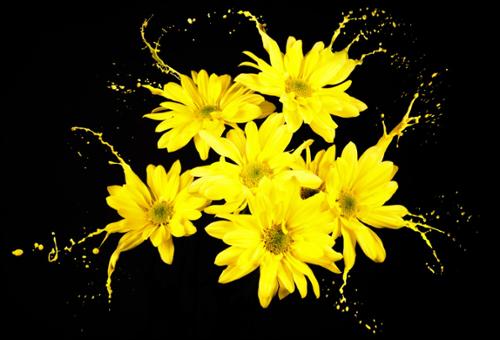 Bloemen geel