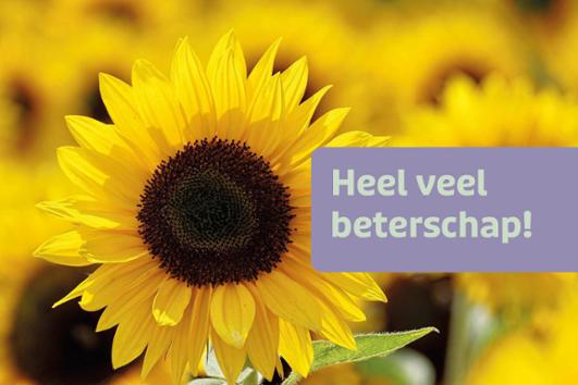 Beterschap A510