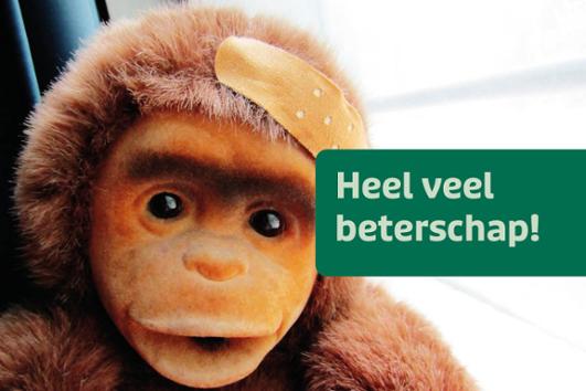 Beterschap Af12