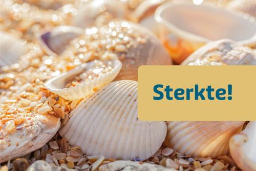 Sterkte A515