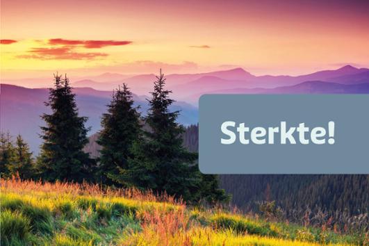Sterkte A517