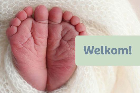 Welkom A519